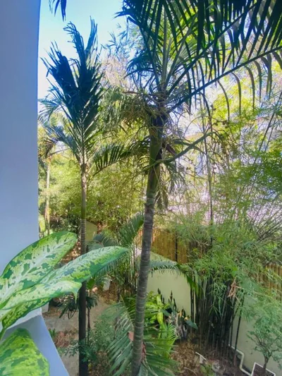 Sairee Sairee Guesthouse – Photos 12